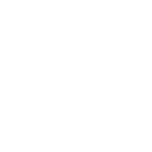 Moonrise Medical